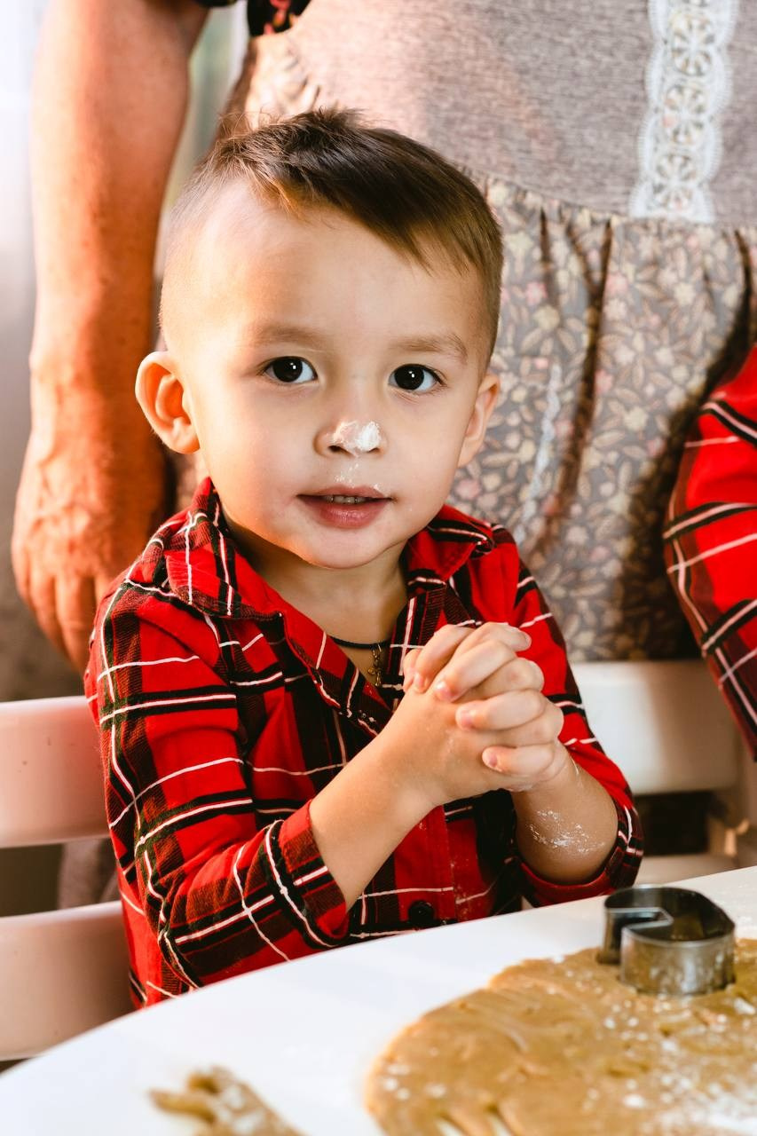 Домашние Новогодние. Brand photographer