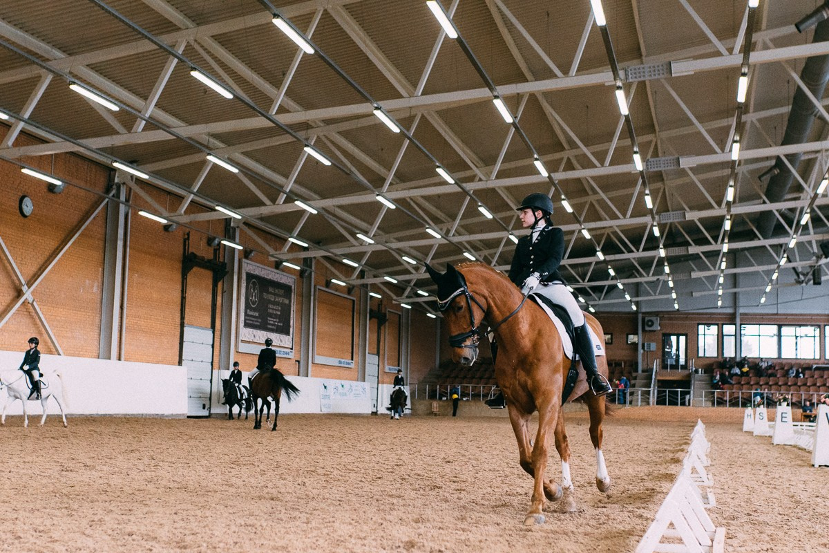 Выездка КСК «Дерби». Репортажный и семейный фотограф в Санкт-Петербурге Тарас Марченко