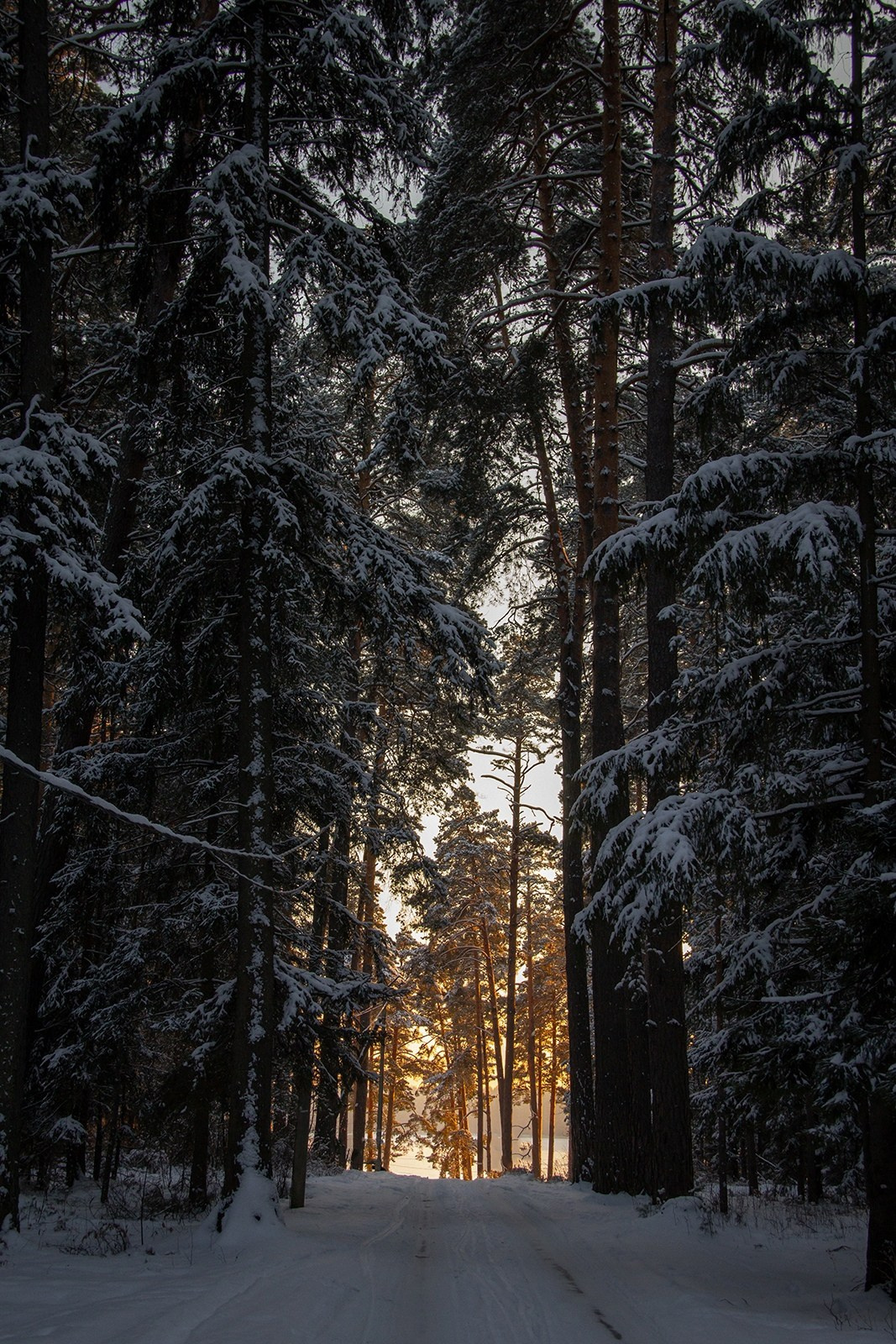 Vyksa. ФОТОГРАФ ANASTASIA KOSHELEVA