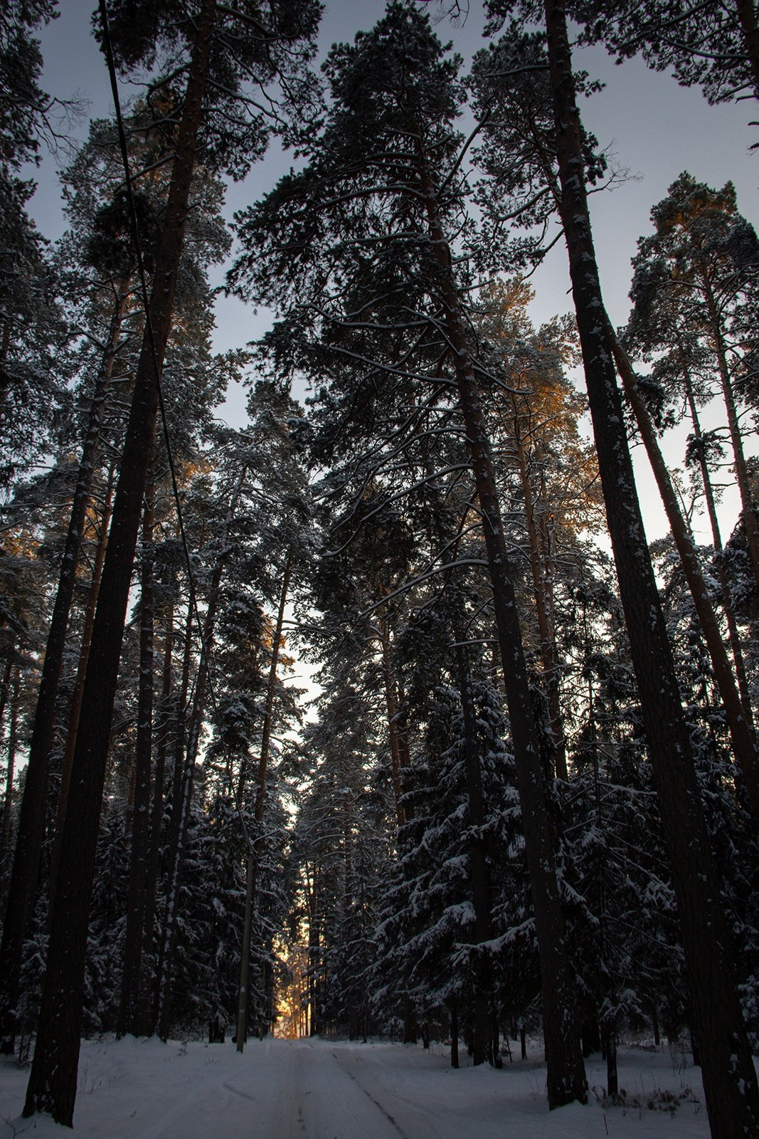Vyksa. ФОТОГРАФ ANASTASIA KOSHELEVA