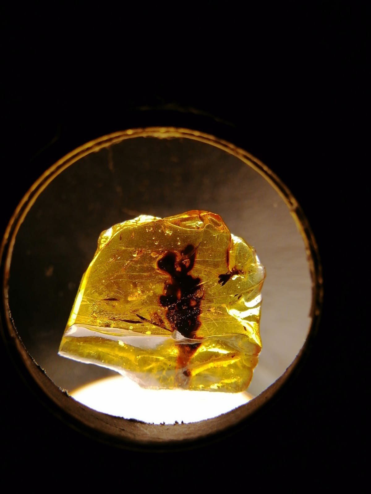 Калининград | 05-08.10.2023. Галерея Фантим