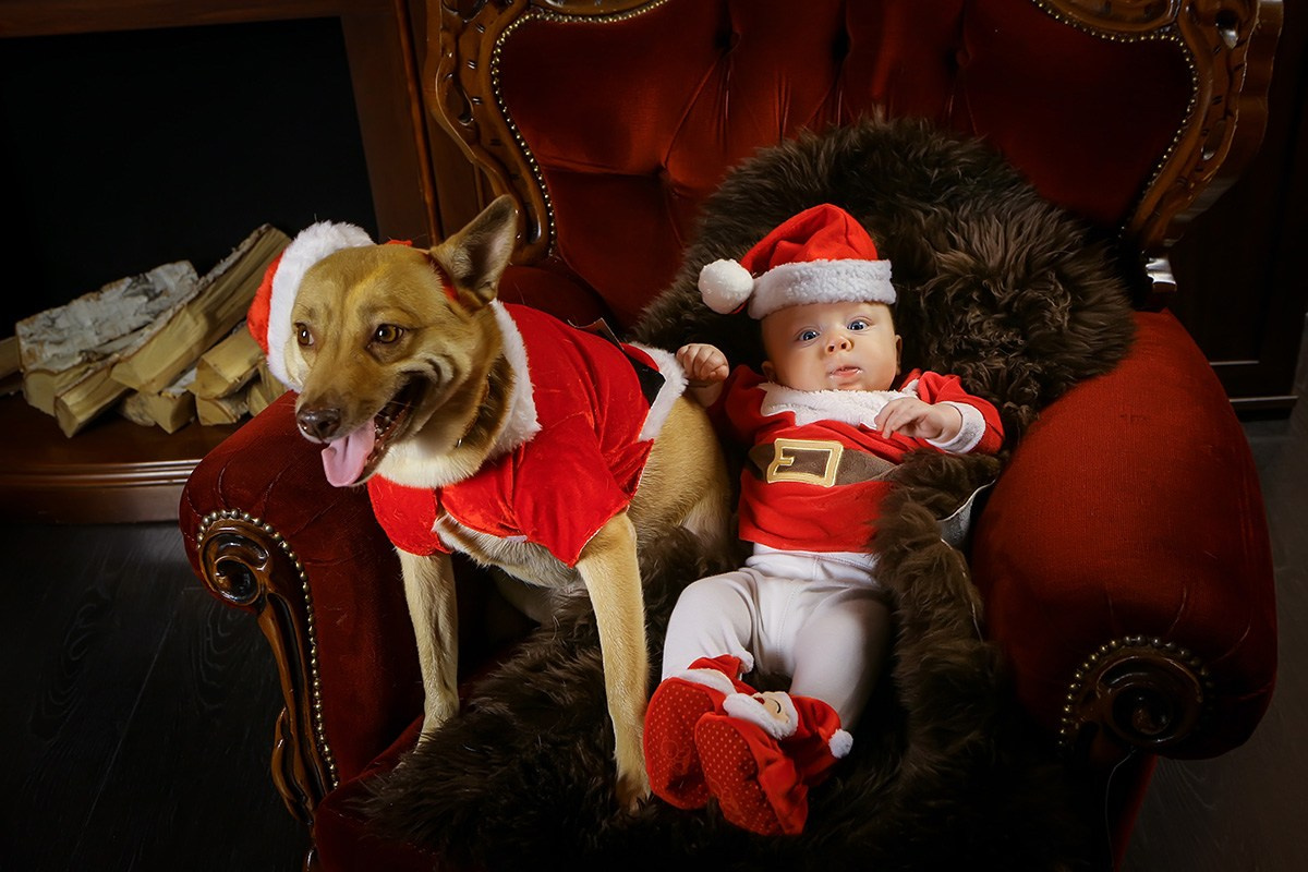 Дети-наше всё. Профессиональный фотограф Александр Марашан