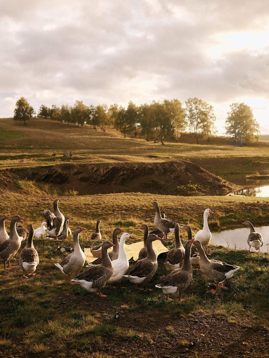 Александр и Анна. Портретный фотограф в Санкт-Петербурге