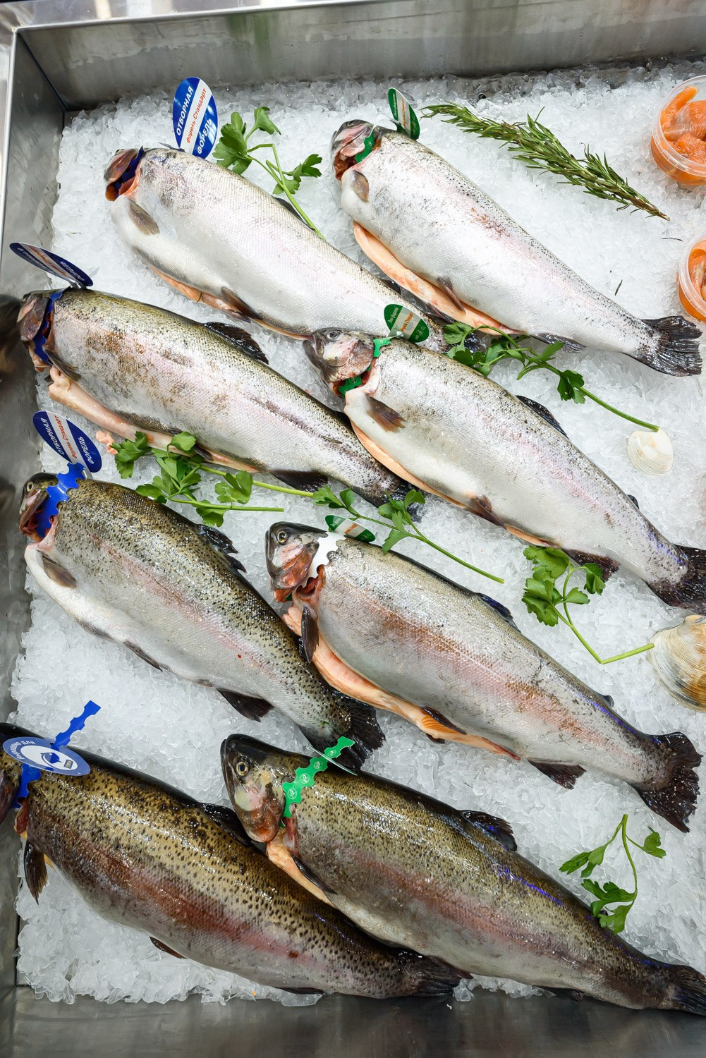 Репортажная фотосъемка Global Fishery Forum. Фотограф | Рустам Загидуллин | Санкт-Петербург