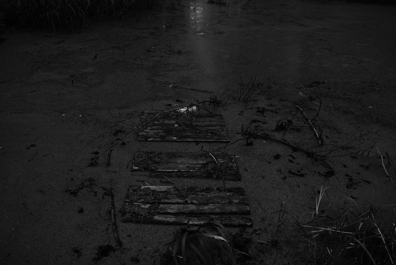 Sedimentation. Пылина Ирина — современная фотография