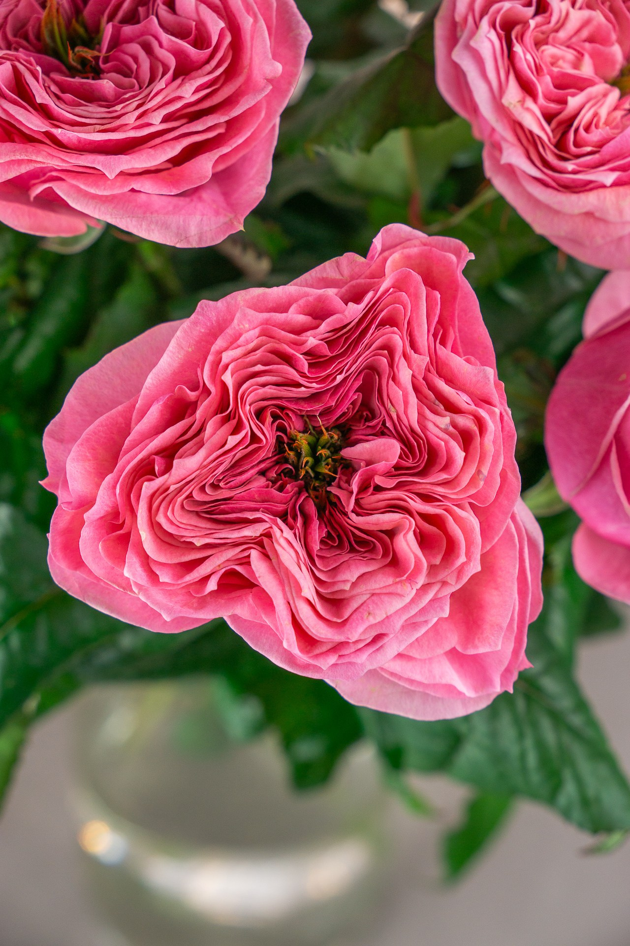 Контент для «Цветочной лавки». Фотограф в Екатеринбурге Яна Круташова