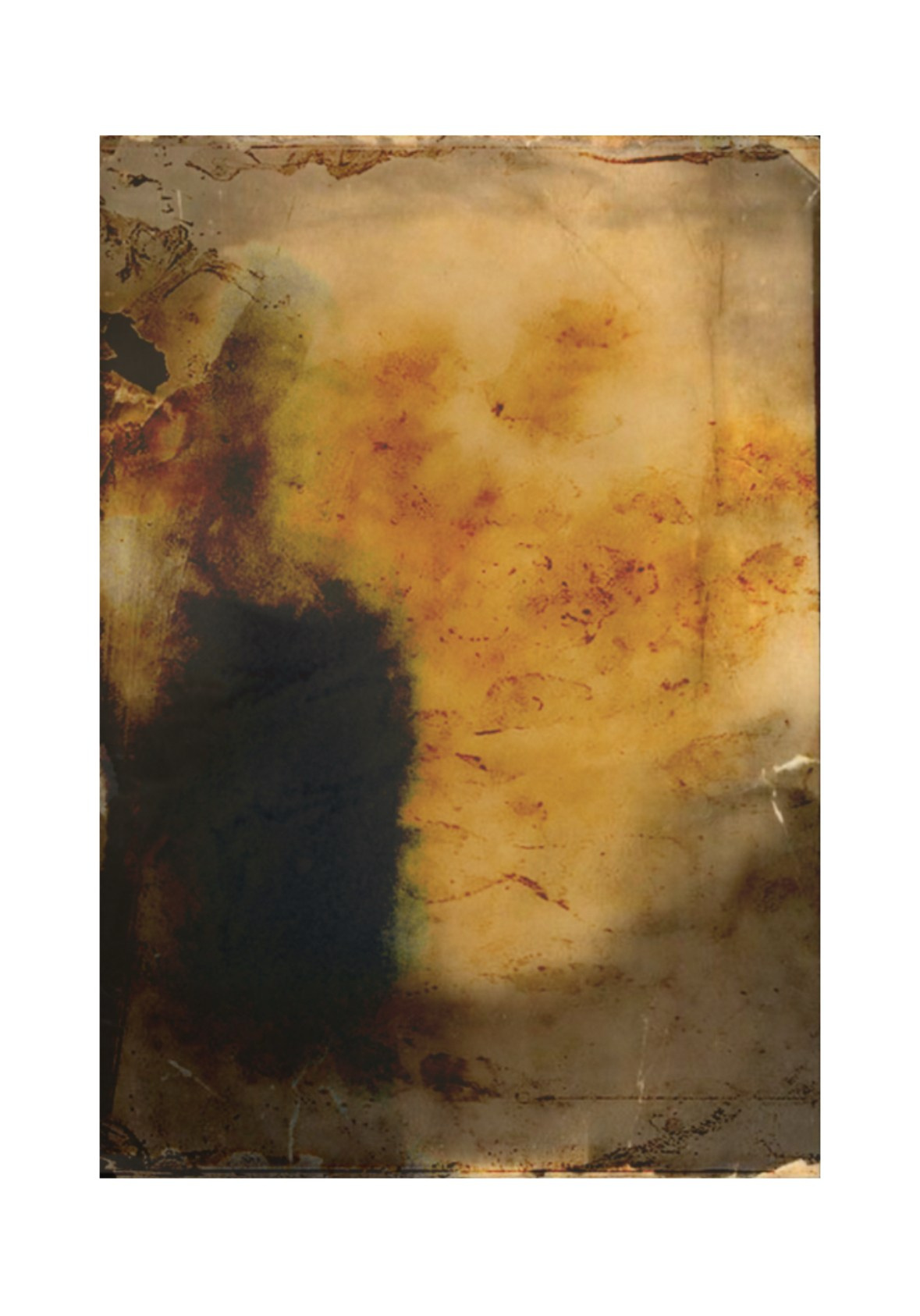 Визуальное искусство. Женский фотограф, видеограф, визуальный артист. Радужный ХМАО