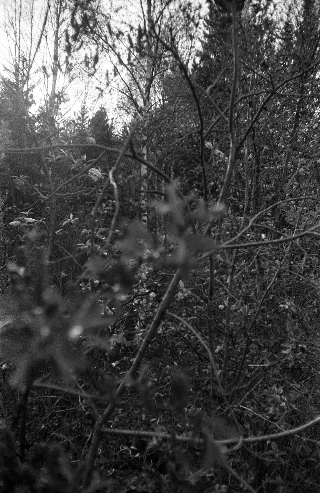 Обо мне. Anastasia N | Фотограф Челябинск