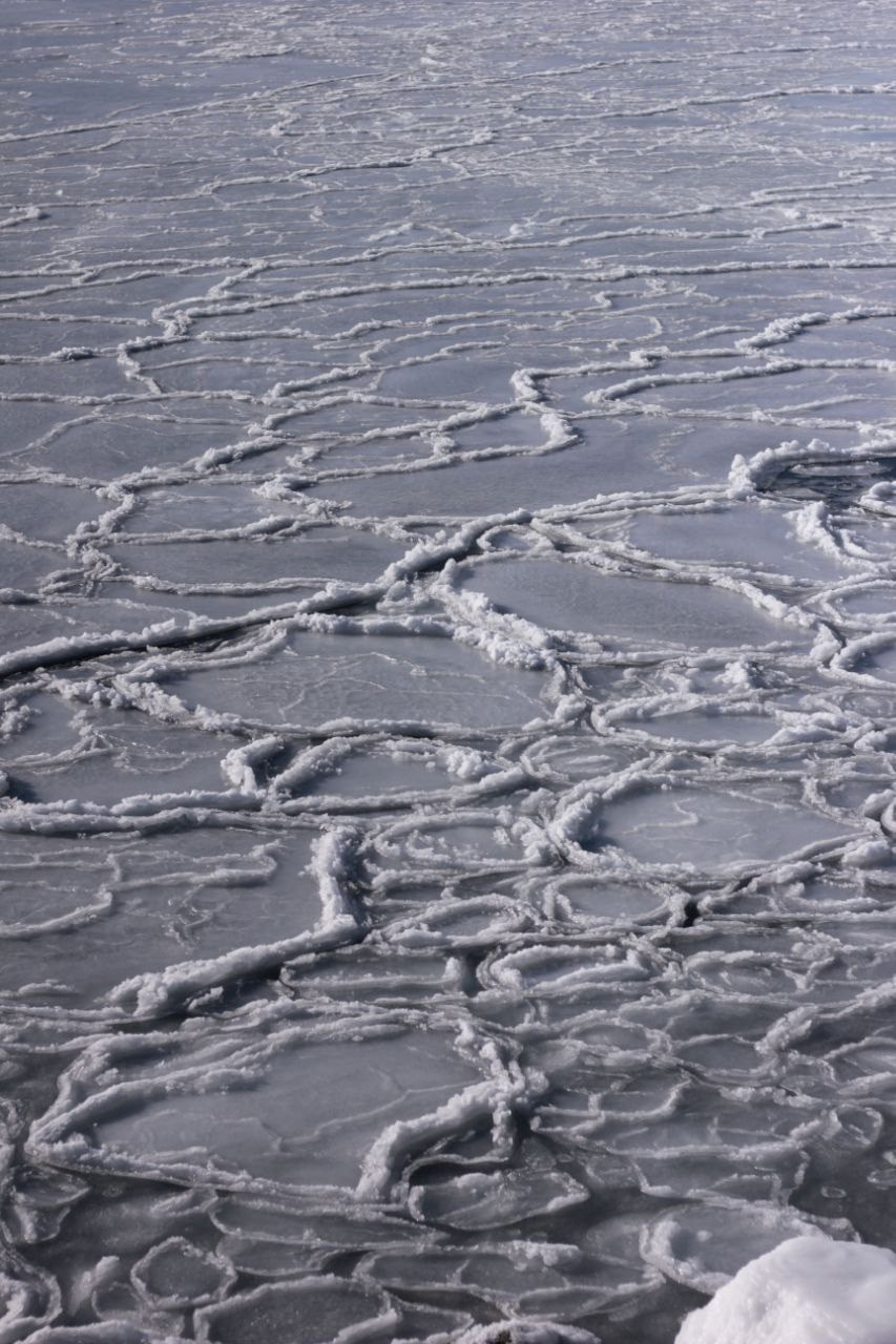 Пейзаж. Фотограф Манеев Богдан