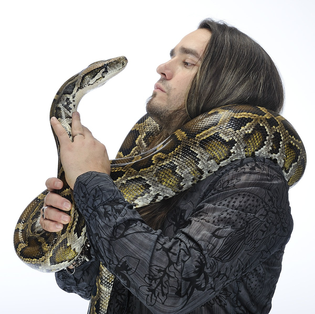 ЖИВОТНЫЕ. Www.apowerstudio.com