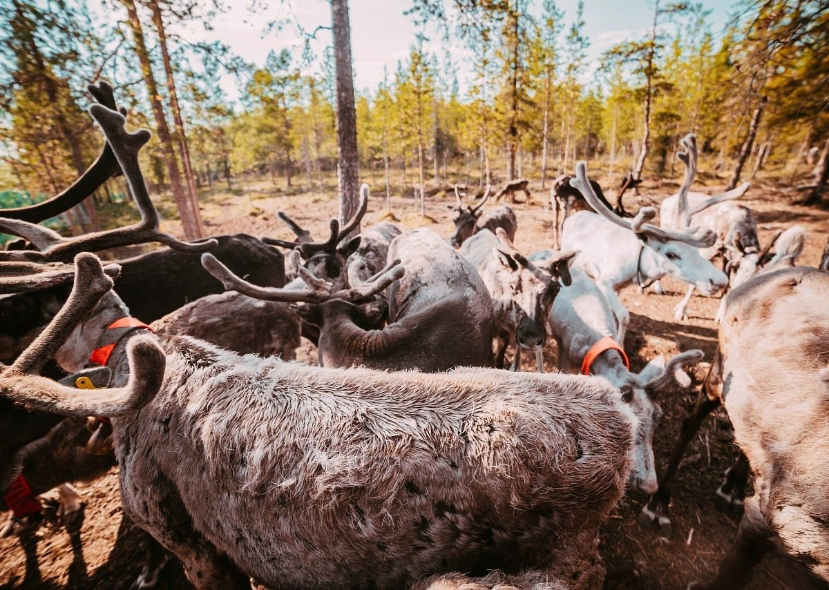 Мурманская Северное. Туры по России и миру