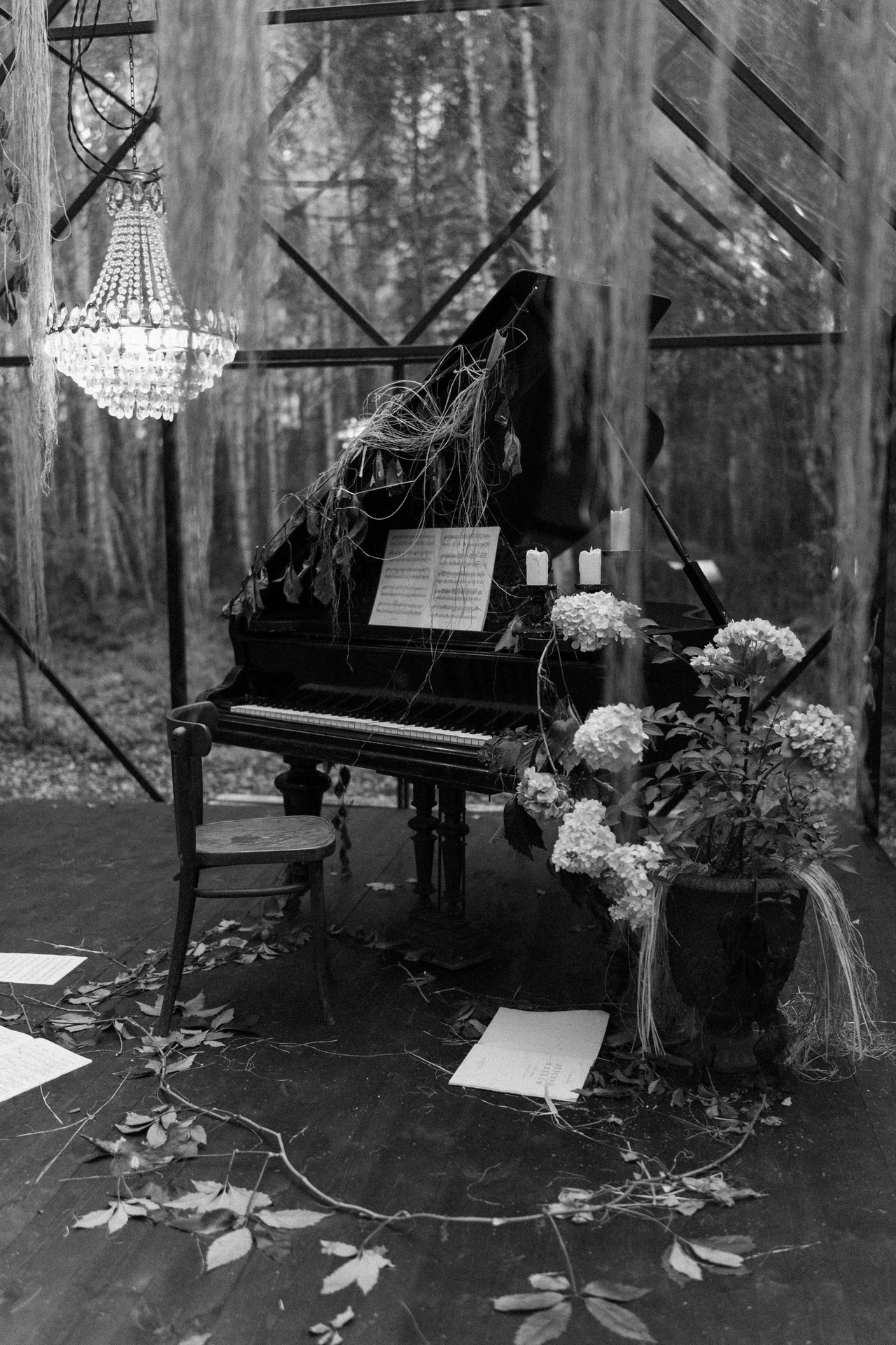 Отзывы. Фотограф Екатерина Алексеева