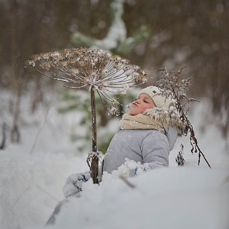 В снегу). Фотограф Ваших событий 📸