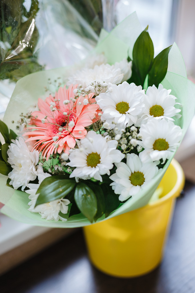 Школа 1 л класс. Семейный фотограф Николаева Ольга