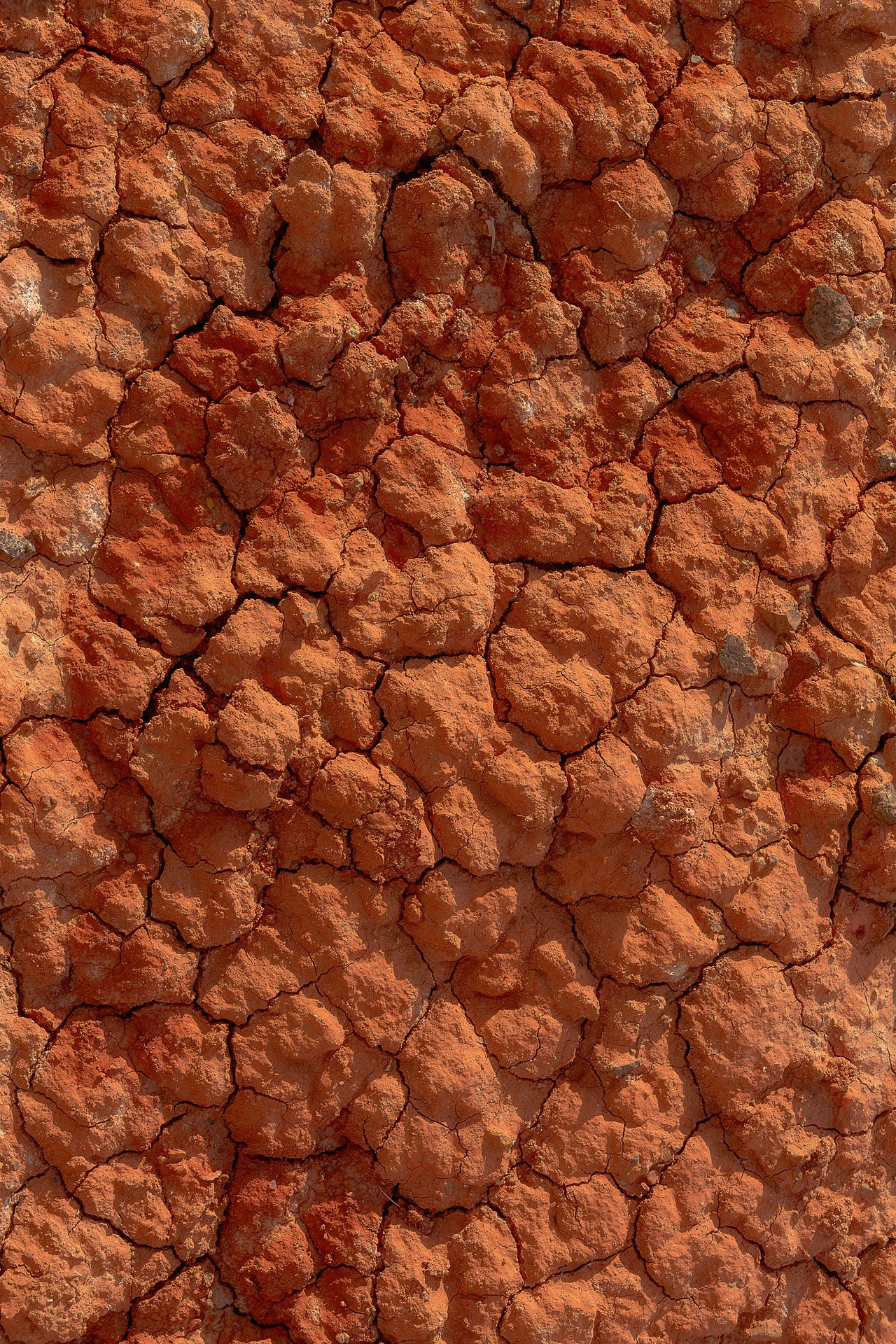 АЛТАЙ. Фототуры и обучение пейзажной фотографии