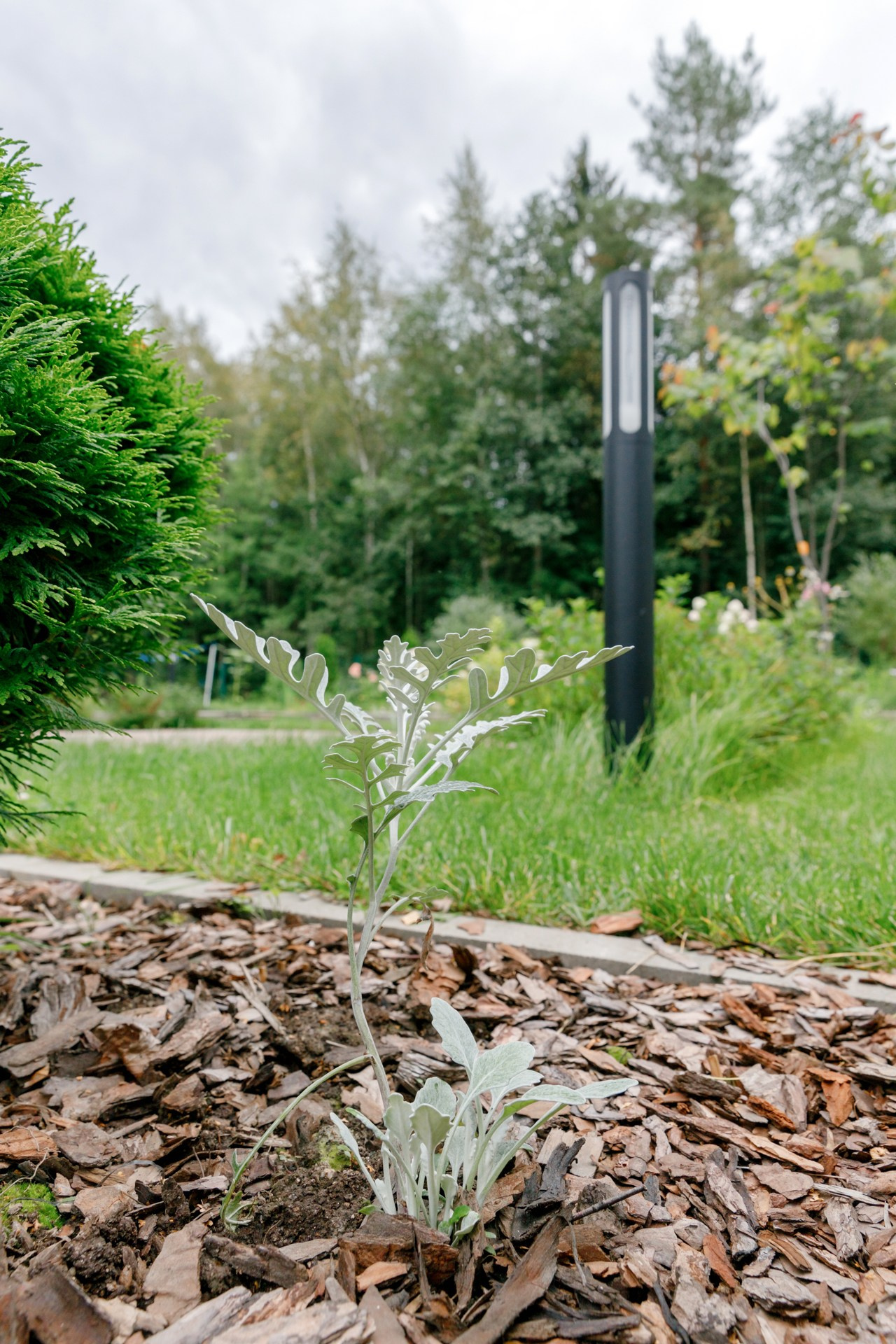 Загородный дом. Ландшафтный дизайн. Репортажный фотограф в Санкт-Петербурге Жолудев Владислав