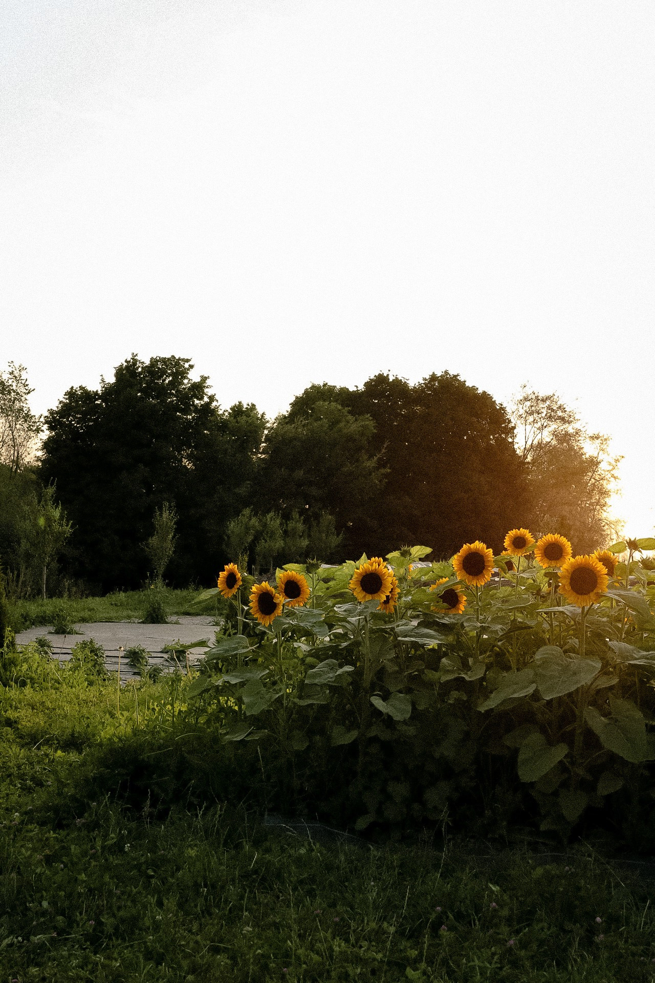 Hen party. Fashion, portrait, personal photographer. Almaty, KZ