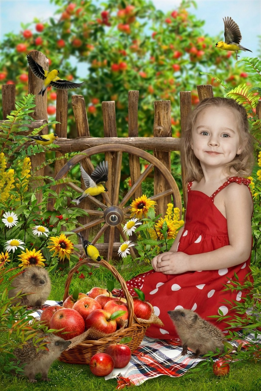 ОСЕНЬ. Выпускные фотокниги, фотосъемка, видеосъемка в Челябинске и области