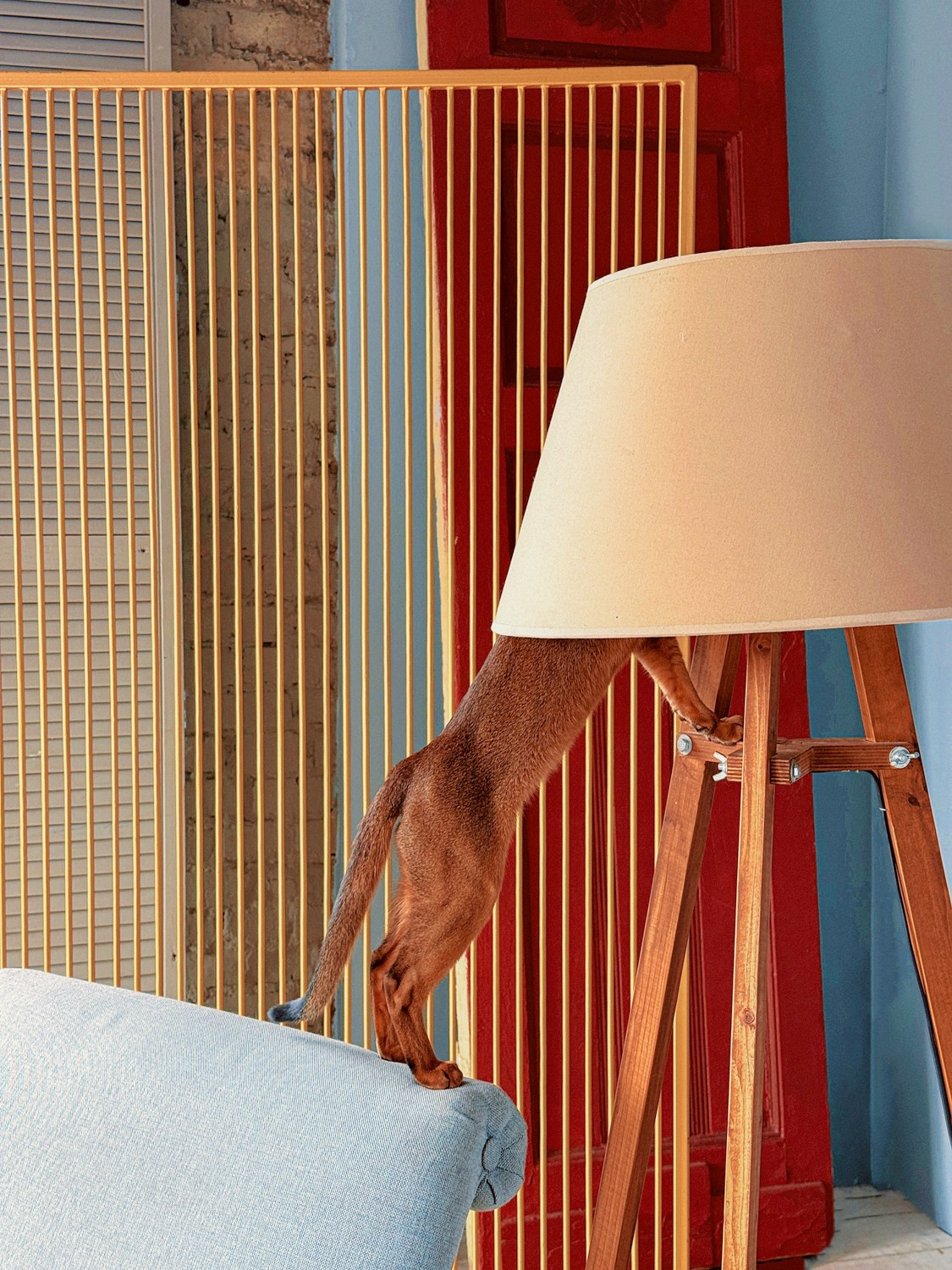 Современная концептуальная фотография о теле, уязвимости и идентичности. Визуальная практика на стиле честности, пост-иронии и искусства.Рекламная фотография, Концептуальная фотография, Современный художник, Психология, Коммерческий фотограф, Репортажный фотограф, Стрит фотография, Арт, Сюрреализм, Мобильная фотография, Снято на айфон, Дима Бурза