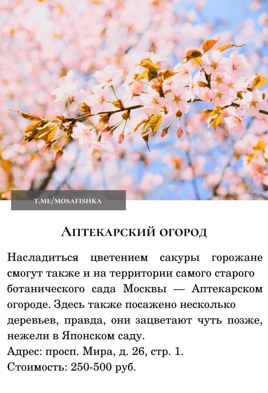 Локации для фотосессии в Москве