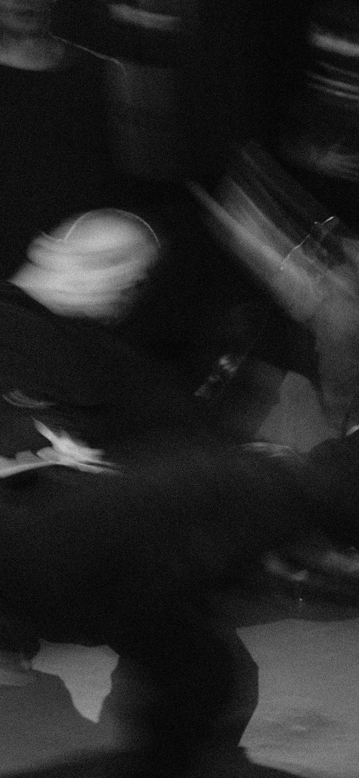 NBD 2023. LIYALEE PHOTO