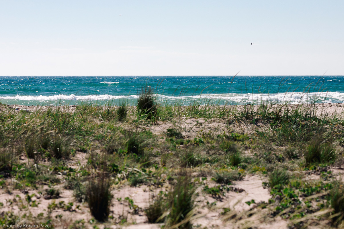 Крым, море, весна. Профессиональный фотограф в Крыму и Севастополе Павел Корсун
