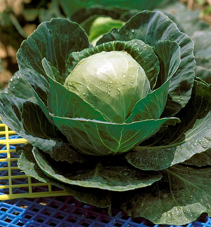 Product photography. The Website of the Photographer Vitaly Deni