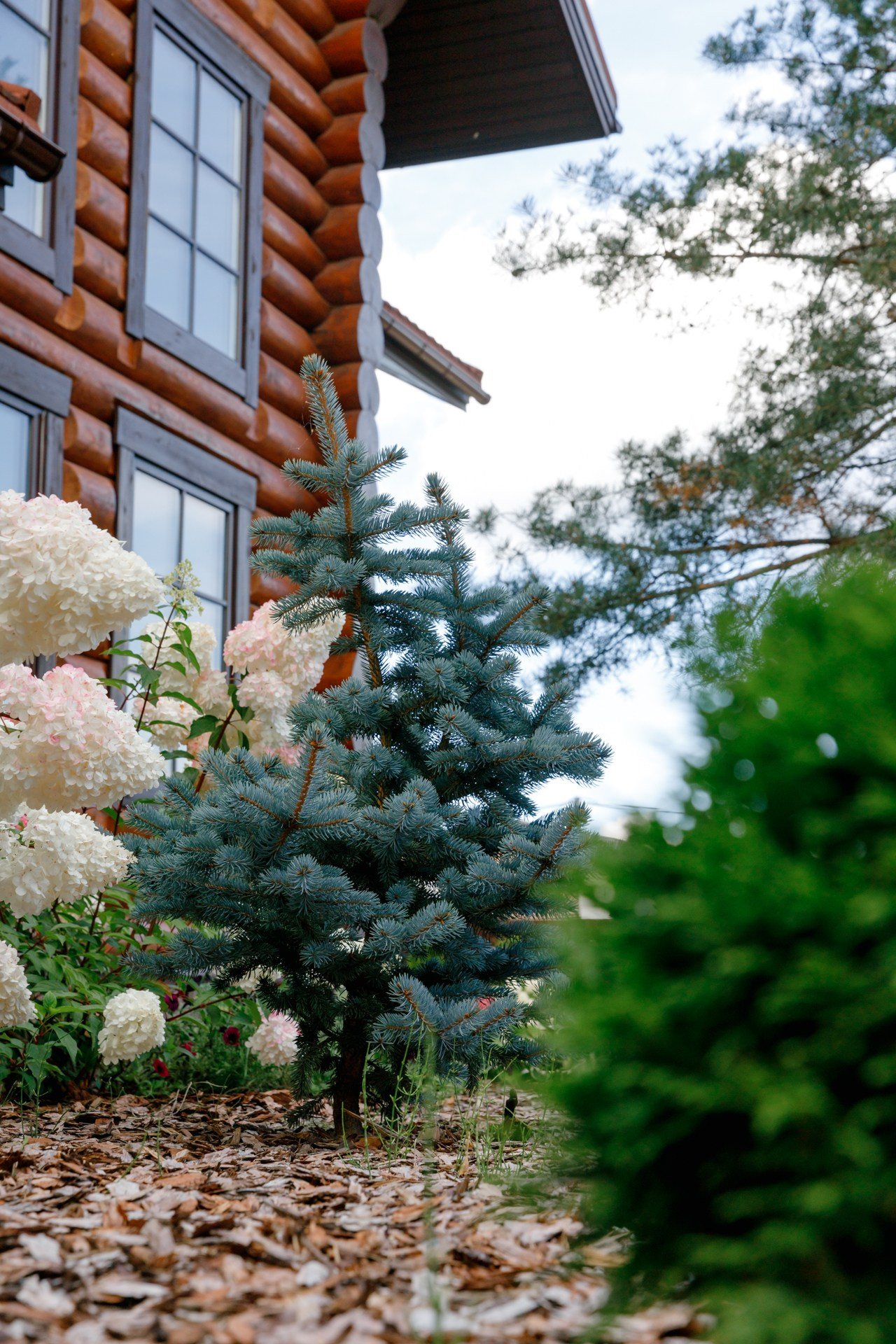 Загородный дом. Ландшафтный дизайн. Репортажный фотограф в Санкт-Петербурге Жолудев Владислав