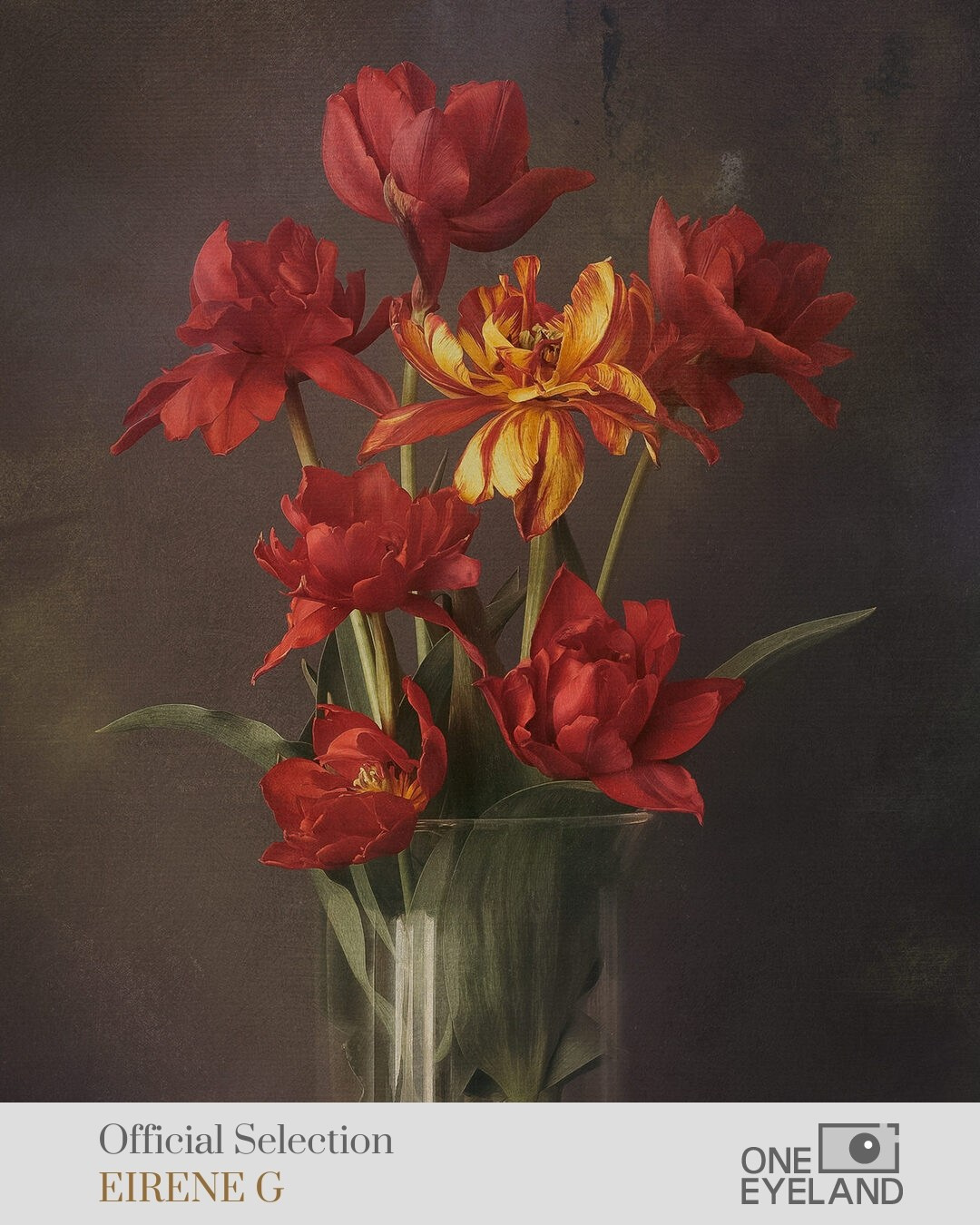 ONEEYELAND GALLERY. Eirene G |  Photoartist | Flowers from my garden