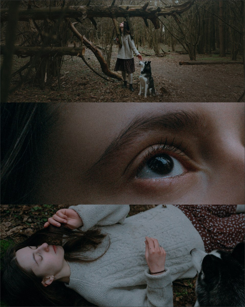 Наташа и Сириус. Фотограф анималист в Москве и Санкт-Петербурге Свиридова Анна