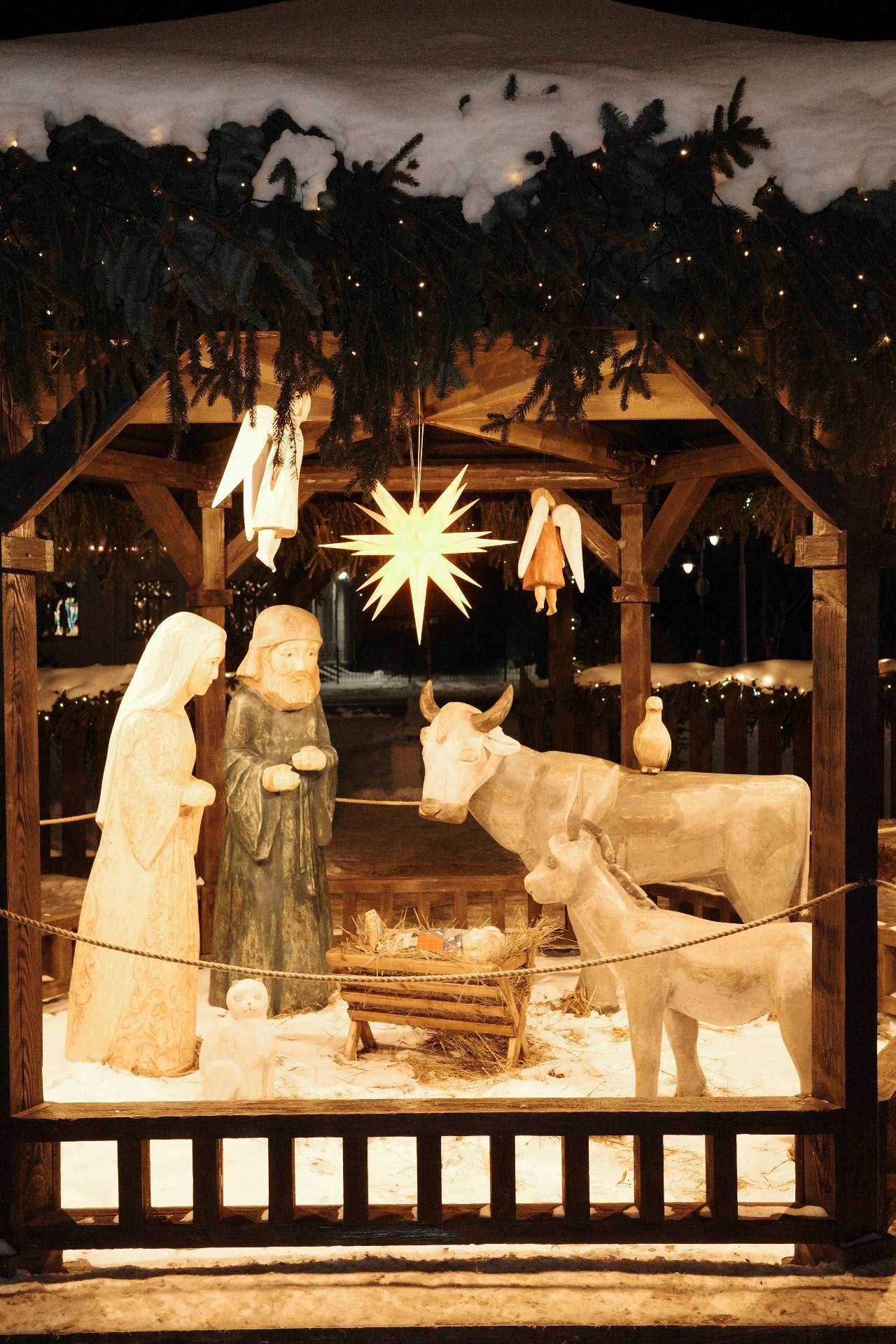 Псков. Фотографъ Сергѣевъ. Поймать мгновеніе