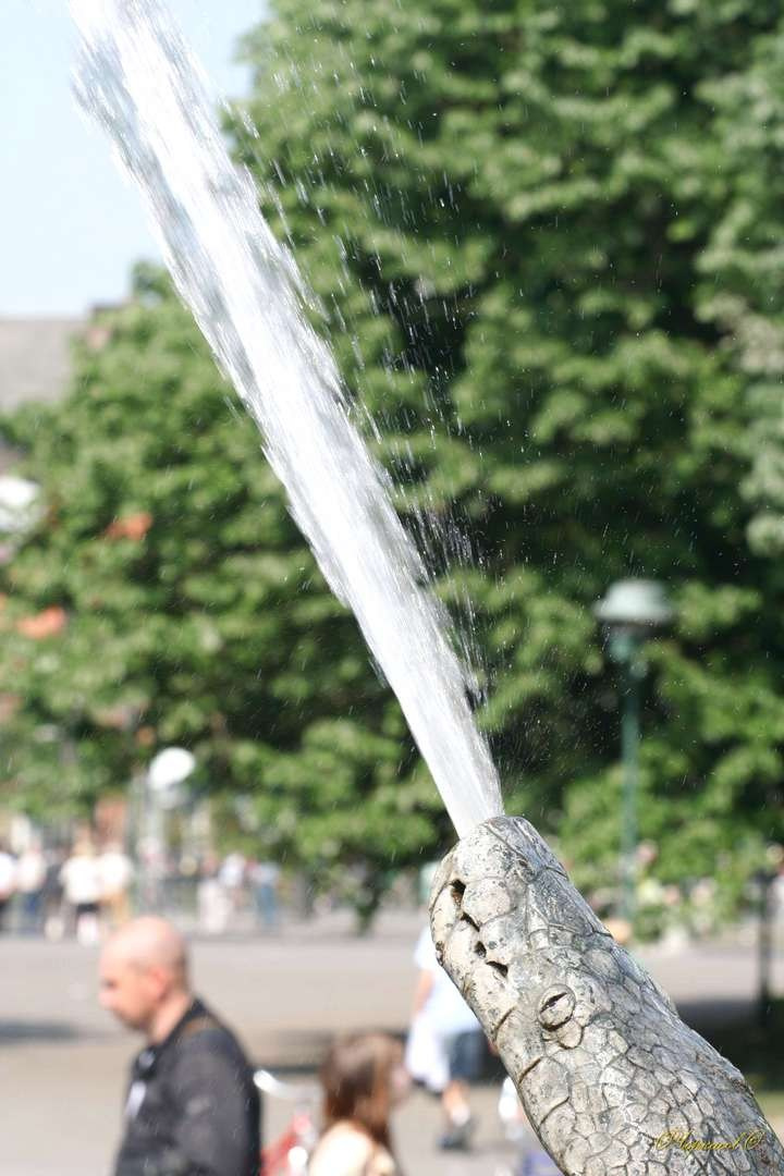 Германия 2009 г. Улица, люди, жизнь…