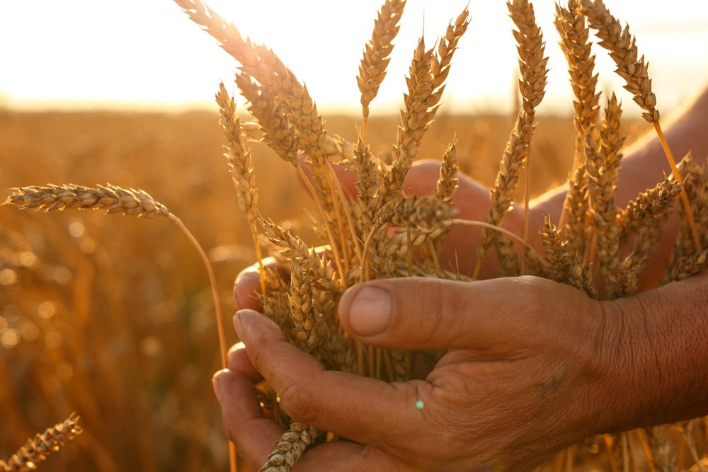 Актанышский район. Промышленный фотограф | Бизнес-фотосессии | Казань и РФ