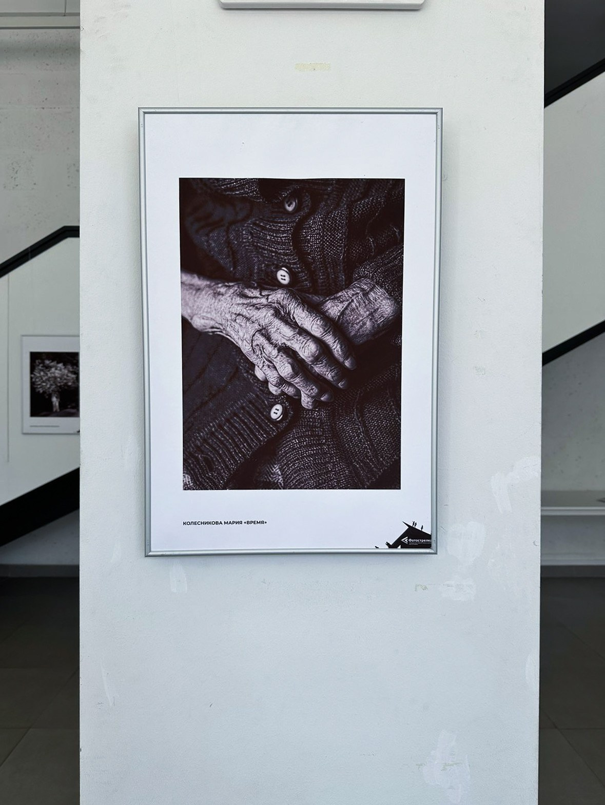 Выставки. Колесникова Мария Арт-фотограф