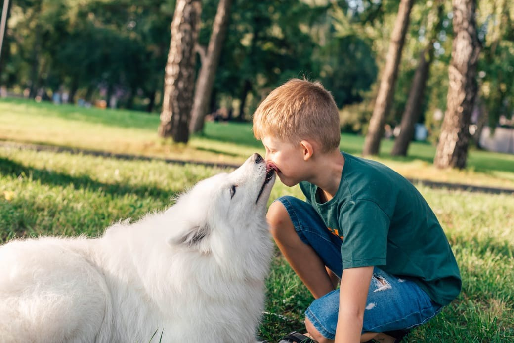 Фотосессия на Михайловской набережной. Самоед Новосибирск