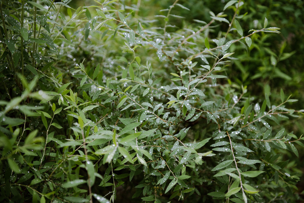 Переделкино. Портретный и архитектурный фотограф в Москве и Санкт-Петербурге