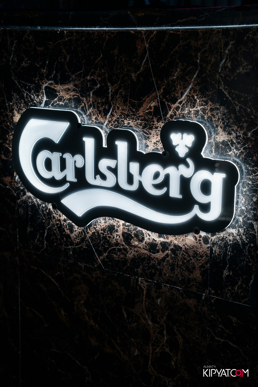 УХО И МЕДВЕДЬ НА ГАГАРИНА. КИПЯТКОМ АЛМАТЫ! Фотосъемка мероприятий в Алматы