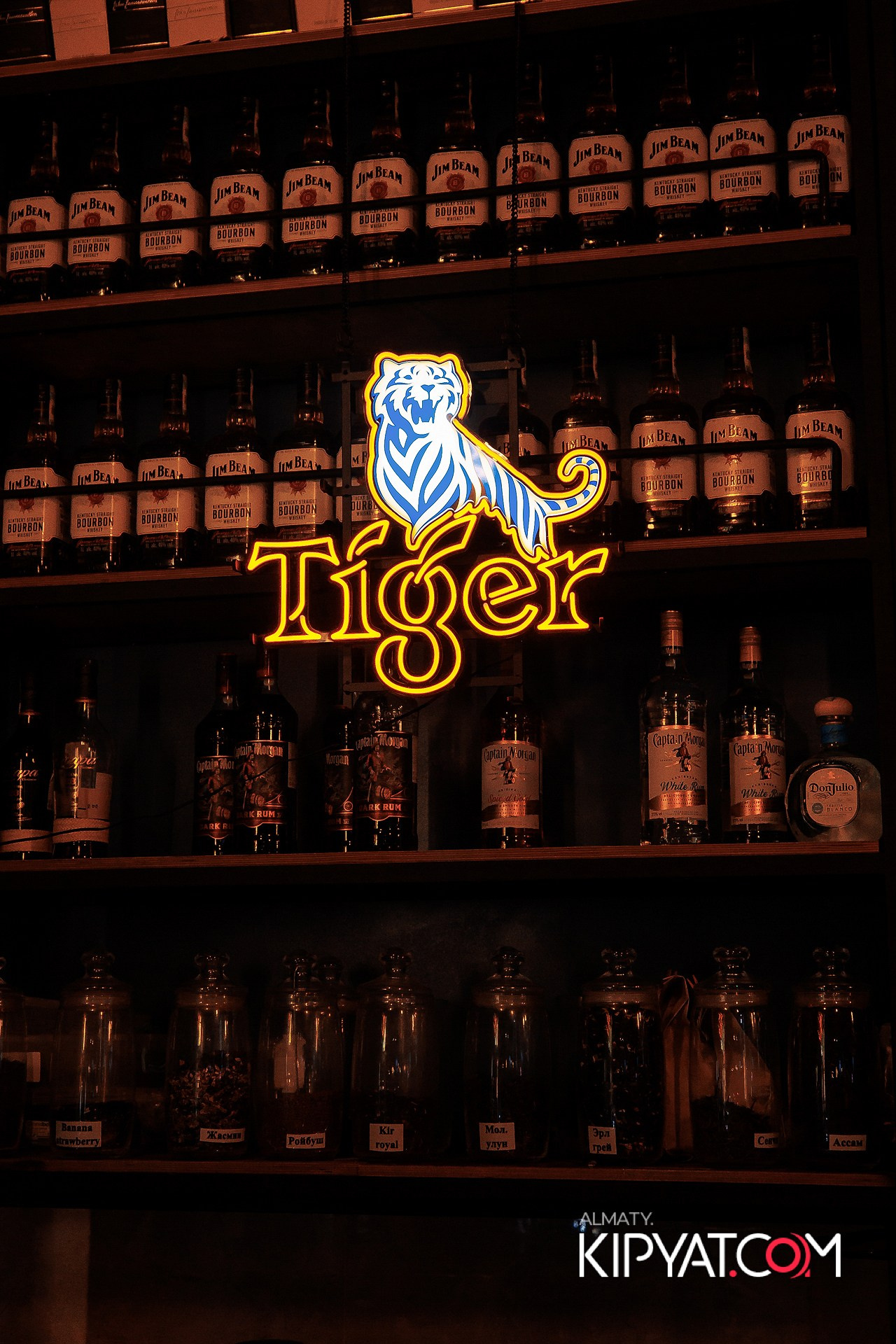 VICE CITY. КИПЯТКОМ АЛМАТЫ!