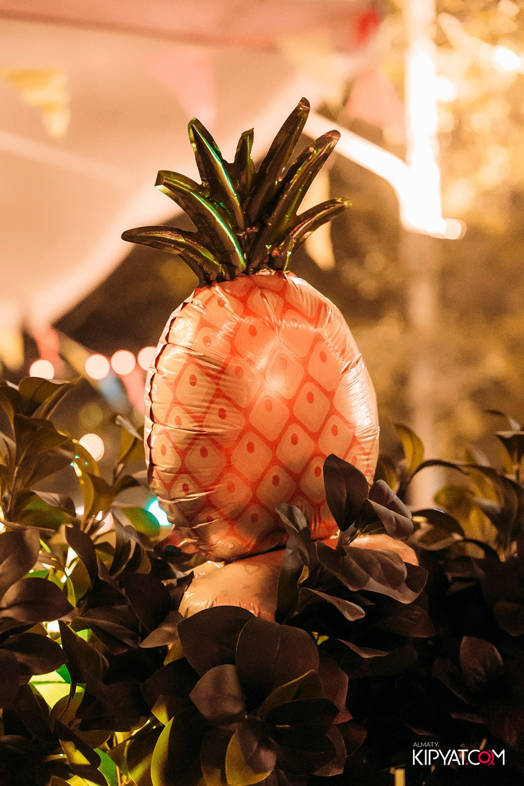 OLOVO BAR НА ДОСТЫК. КИПЯТКОМ АЛМАТЫ!