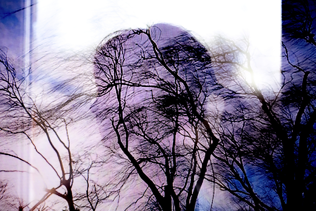 Детская фотосессия на улице. Семейный и детский фотограф в Красноярске Ольга Гаврикова