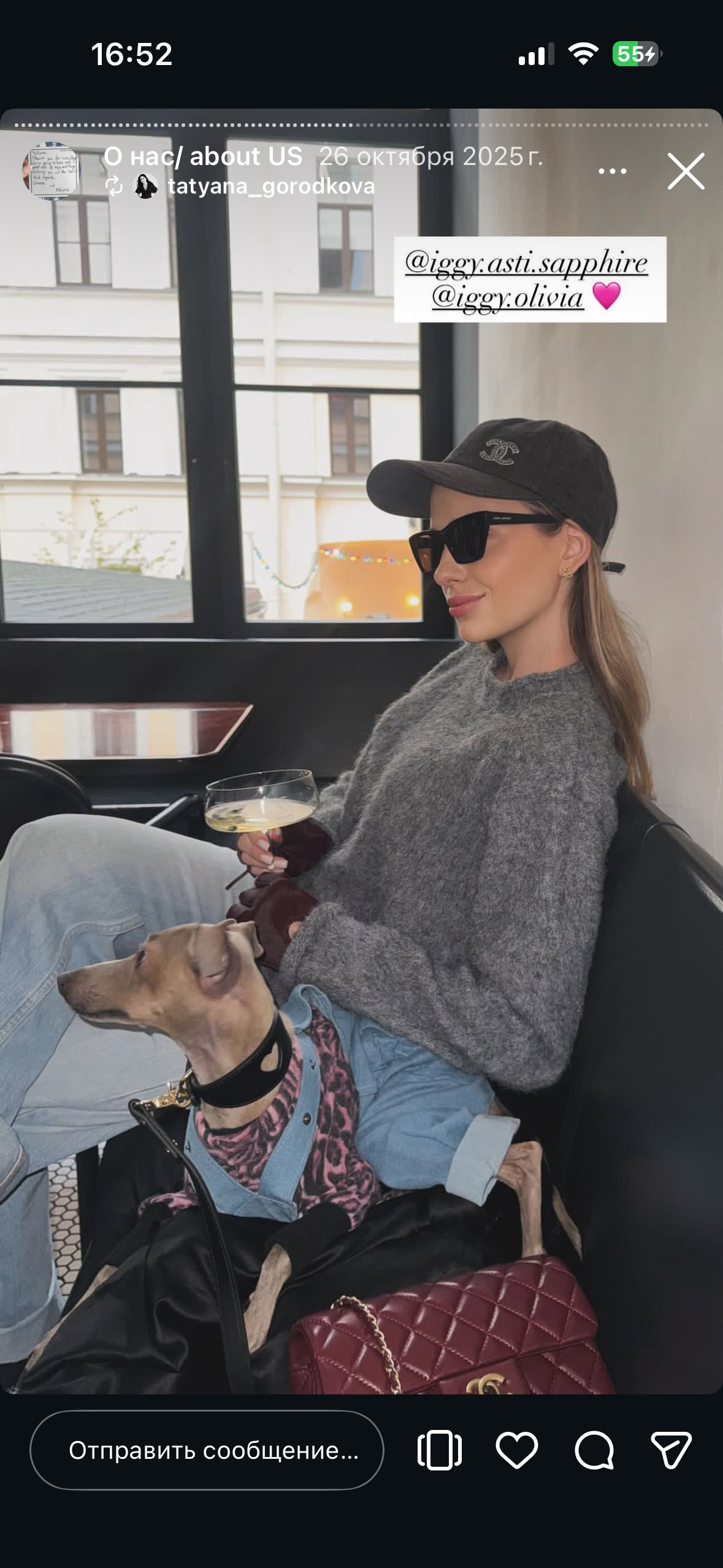 Отзывы от наших любимых владельцев. Профессиональный питомник левреток РКФ/FCI ASTI SAPPHIRE 💎 Сочи|Санкт-Петербург