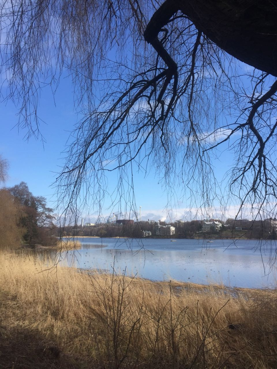 Хельсинки -18. Своя Мастерская