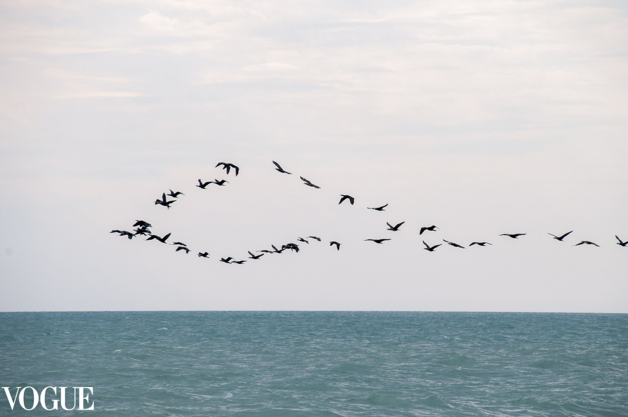 Публикации в журналах. Портретный, семейный фотограф Марина Моисеева