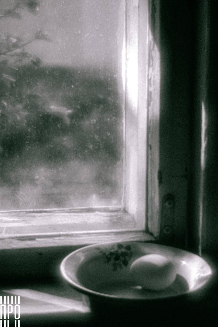 Пикториальный альбом. Семейный LIFESTYLE фотограф в Москве