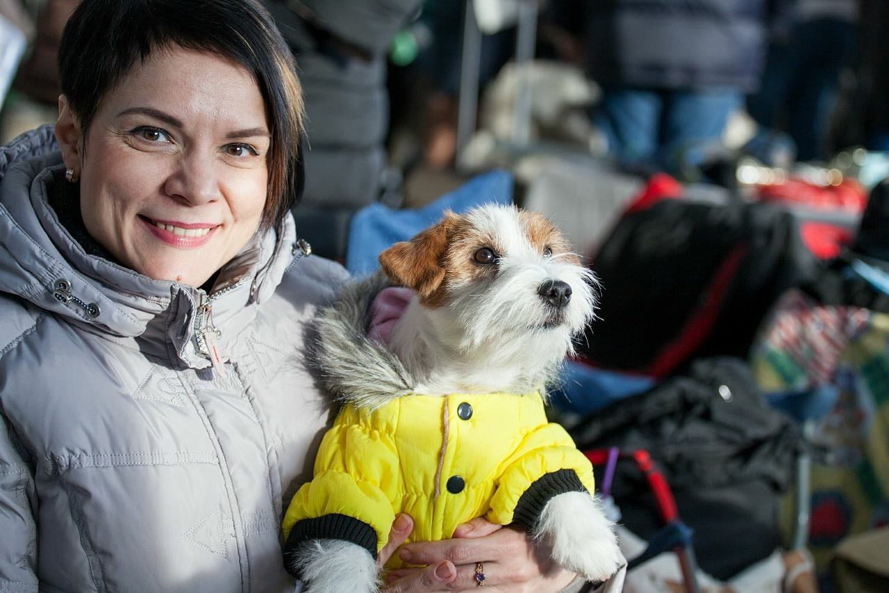 MARGARITA. CANE MAESTRO — kennel Jack Russell Terrier