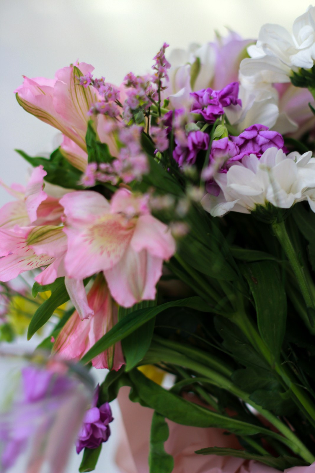 Выездное день рождение. Фотограф Надршина Лилия