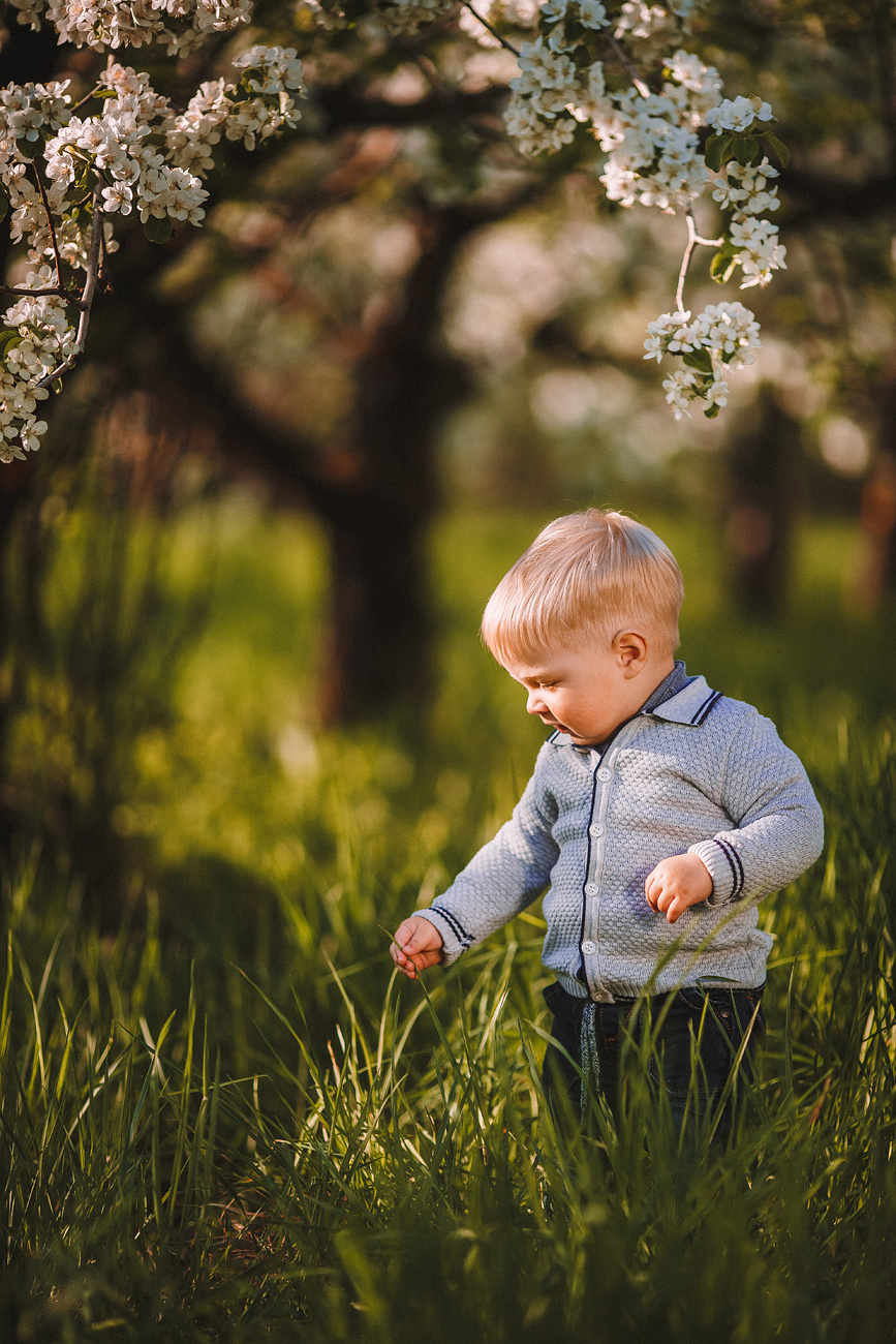 Нежность цветущих садов. Свадебный и семейный фотограф Москва Екатерина Верижникова