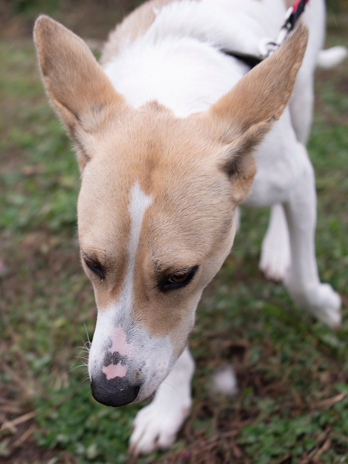 Волонтёрство. Монохромный фотограф