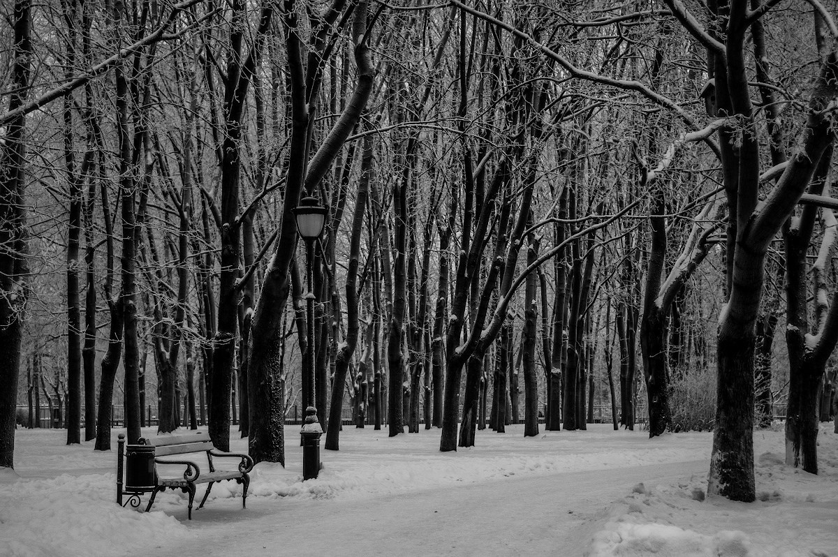 Пейзаж. Портретный фотограф в Москве Михаил Воронцов