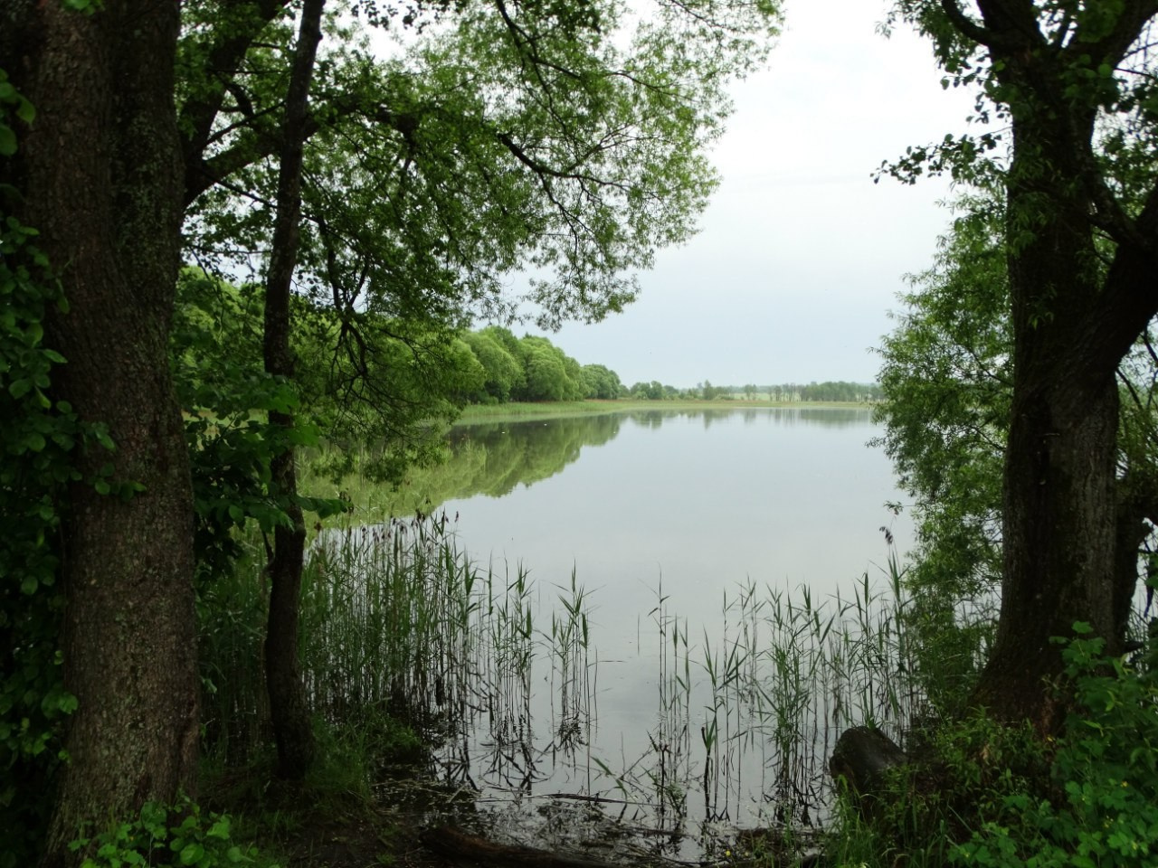 Волоколамск | 04.06.2016 г. Галерея Фантим